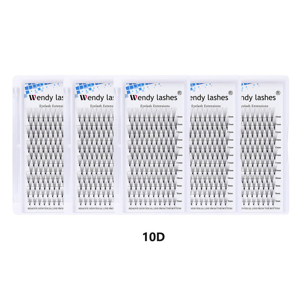 5Trays 10D Pre-Made Fans Volume Lahes Extension